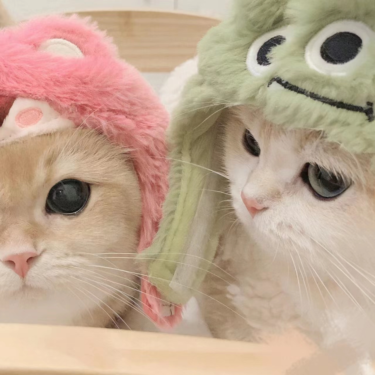看片免费导航APP应用